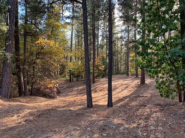 10400 Indian Trl, Nevada City, CA 95959