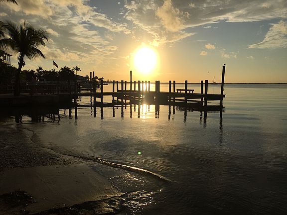 Why we live here