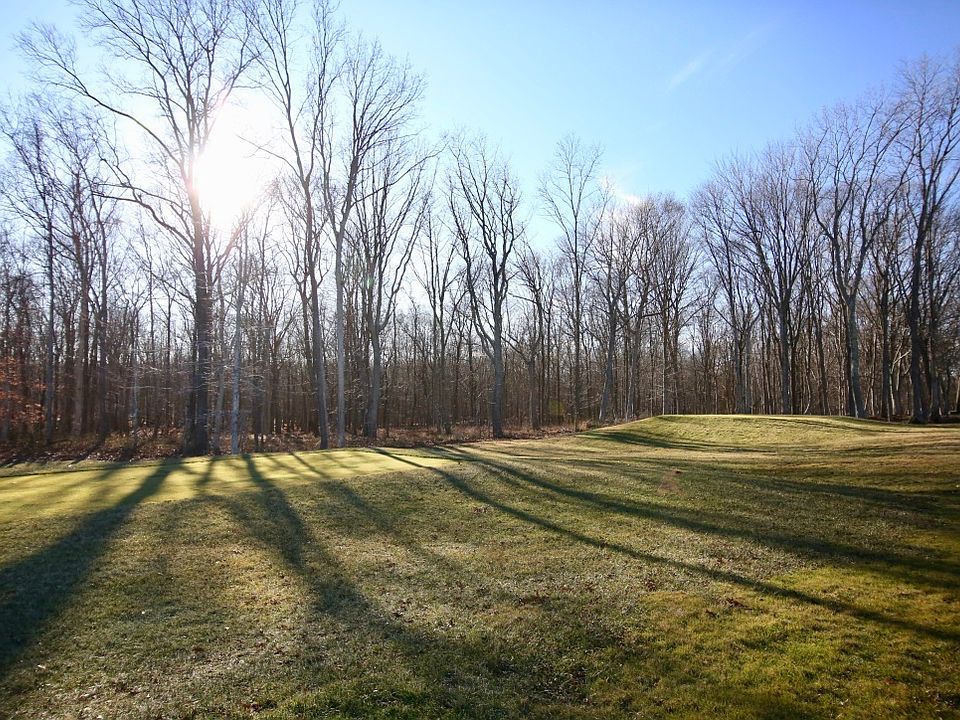 2nd image of 6 Dering Woods Rd