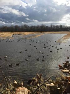 800 N County Rd, Shobonier, IL, 62885