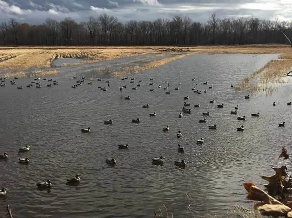 800 N County Rd, Shobonier, IL 62885