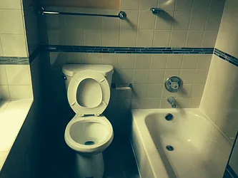 Rented by Premier Metro Realty Corp