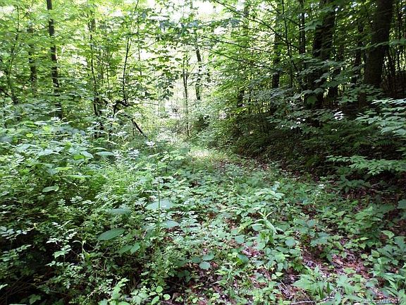 2nd image of 9 Penny Ln