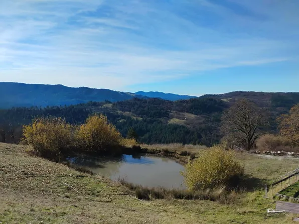 11 Bronco Ct, Bridgeville, CA 95526