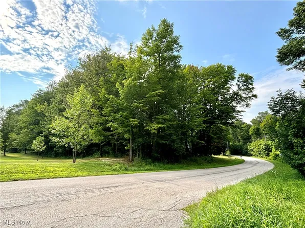 Furnace Rd, Conneaut, OH 44030