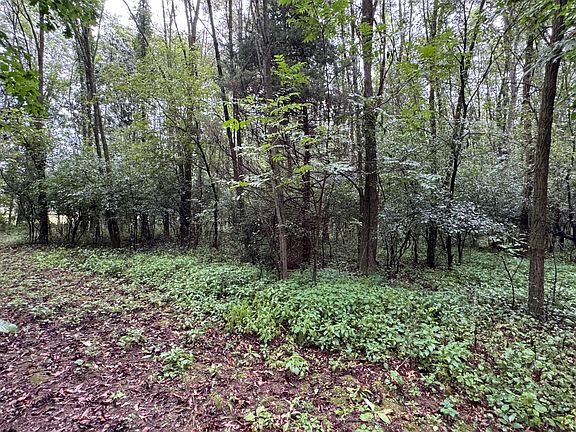 2nd image of Blue Ridge Rd