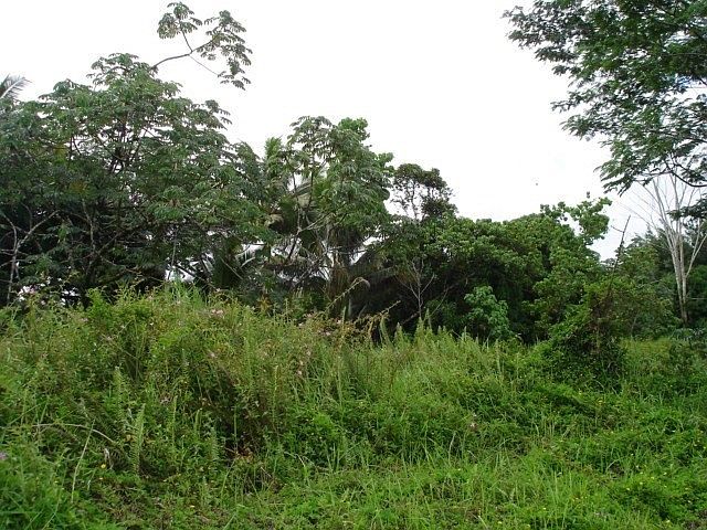 1st image of Makuu Dr Lot 641