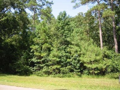 10 Riata Dr, Magnolia, TX, 77354