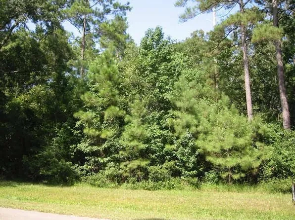 10 Riata Dr, Magnolia, TX 77354