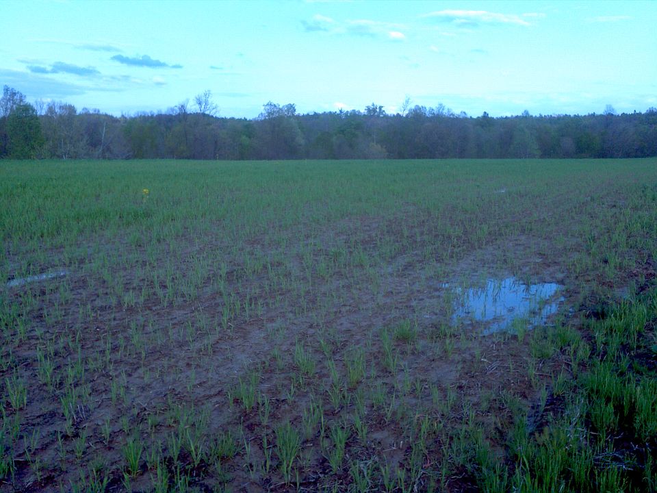 2nd image of Shrewsbury Rd
