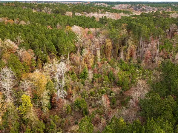 0 County Road 1247, Center, TX 75935