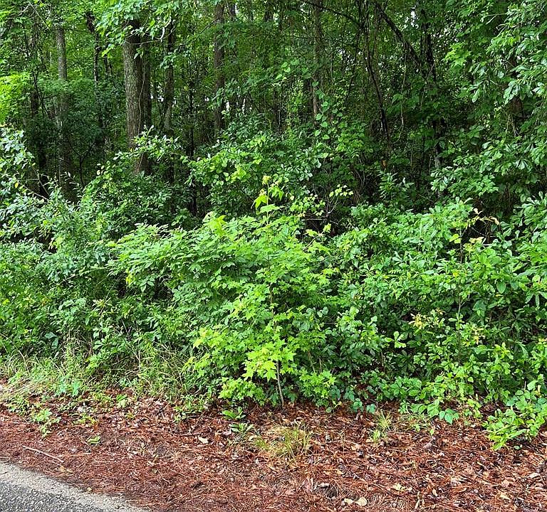 2nd image of 2166 Tanglewood Rd