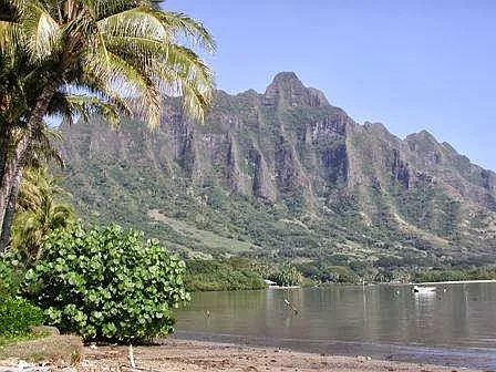 48-505 Kamehameha Hwy — Photo 1