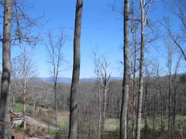 1416 Holly Ln, Hiawassee, GA 30546