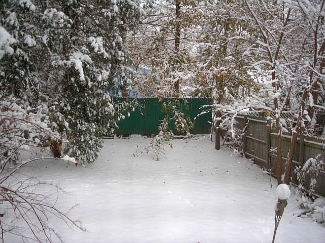 Fenced Yard