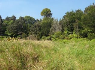 Wright Rd LOT 12-B, Volcano, HI 96785