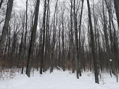 8633 Reynolds Rd, Traverse City, MI, 49684