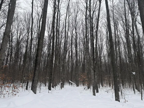 8633 Reynolds Rd, Traverse City, MI 49684