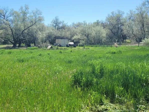 216 Lane 9, Powell, WY 82435