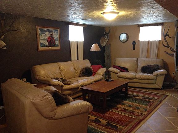 Basement Living Room