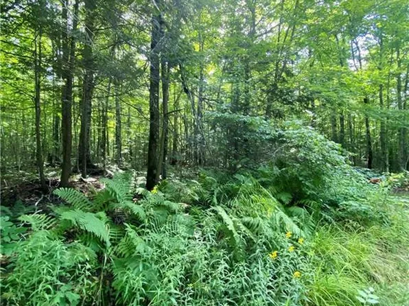 0 Blueberry Fire Lane, Radisson, WI 54867