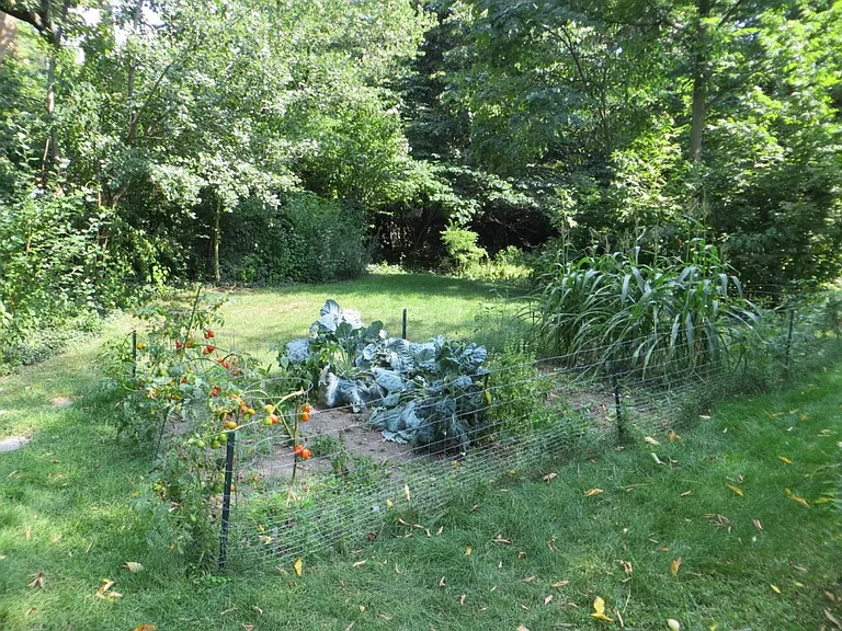 38 Gay Ave SE #4 — Photo 12
