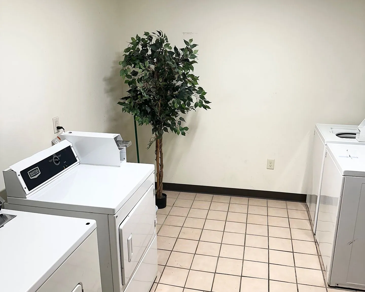 3 bed, 900 sqft, $1,400 — Photo 4
