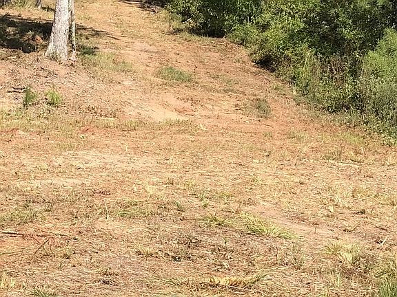 5th image of 350 County Road 364