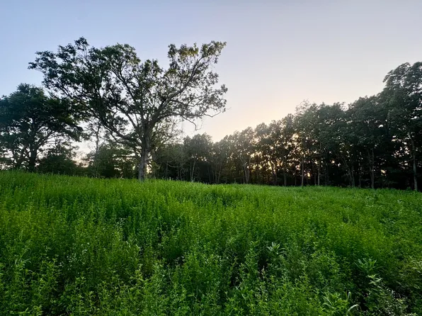 000 Lucky Road, Seymour, MO 65746
