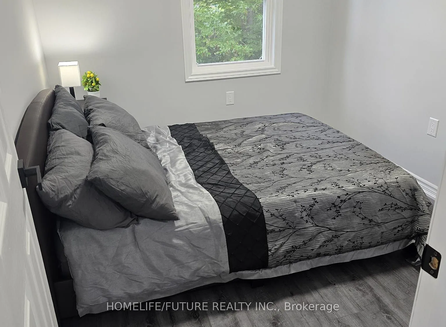 3 bed, $1,800 — Photo 4