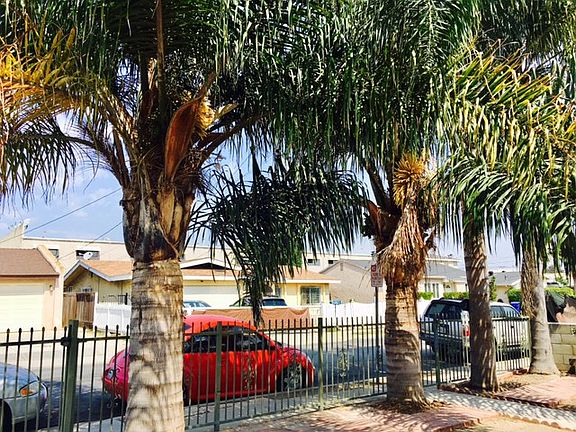 View of calm street, Palms