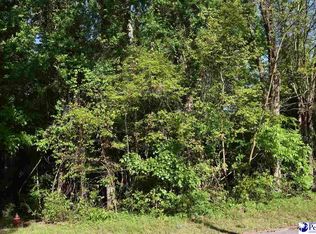 615 Forest Acres Dr, Pamplico, SC 29583