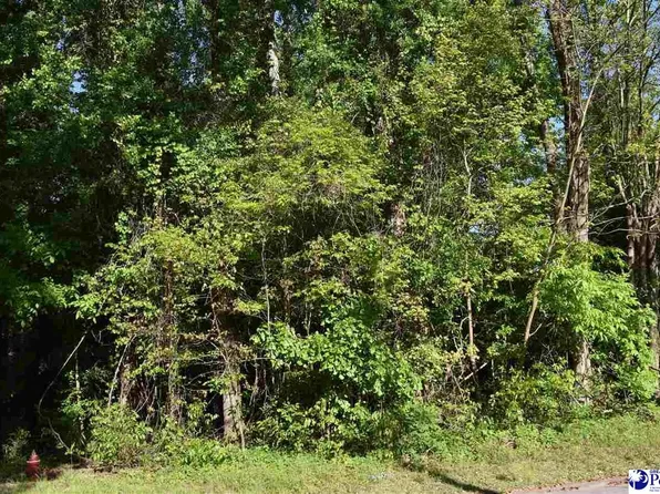 615 Forest Acres Dr, Pamplico, SC 29583