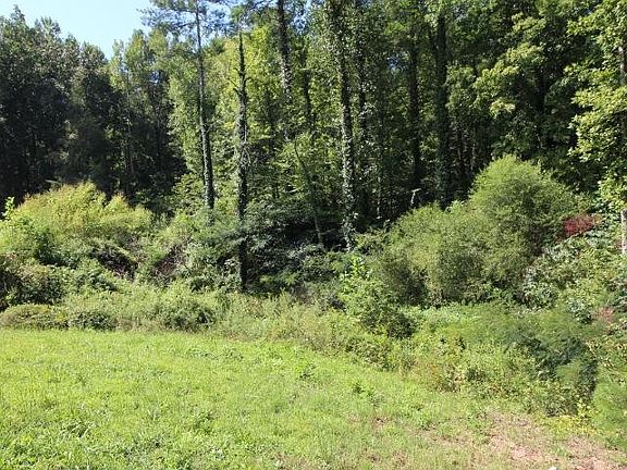 5th image of 519 Rudd Hollow Rd #2