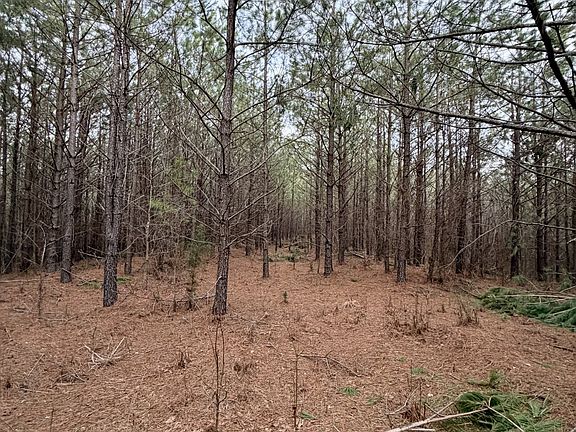44th image of 1 Roan Creek Rd