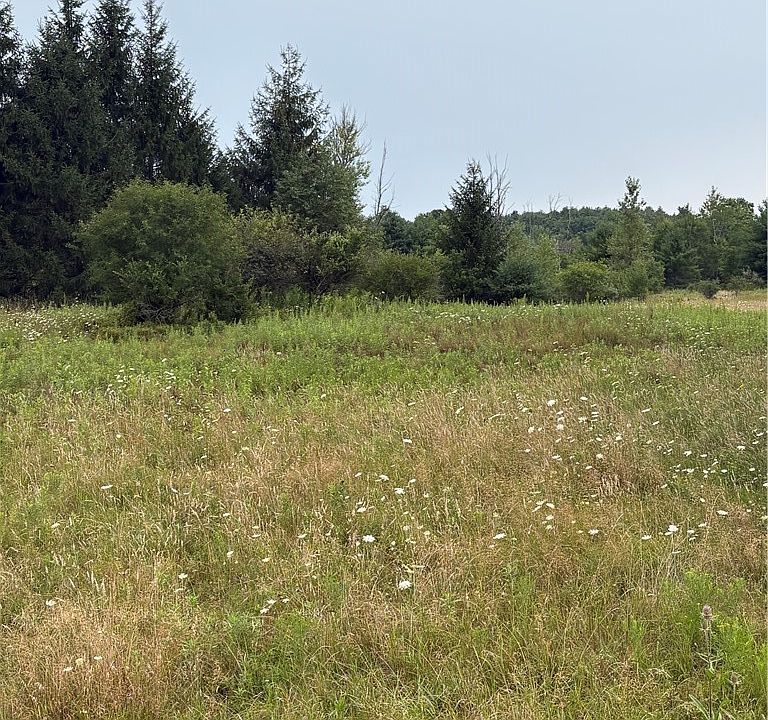 2nd image of LOT 8605 One County Rte Lot 96-31