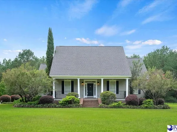 823 Olanta Hwy, Effingham, SC 29541
