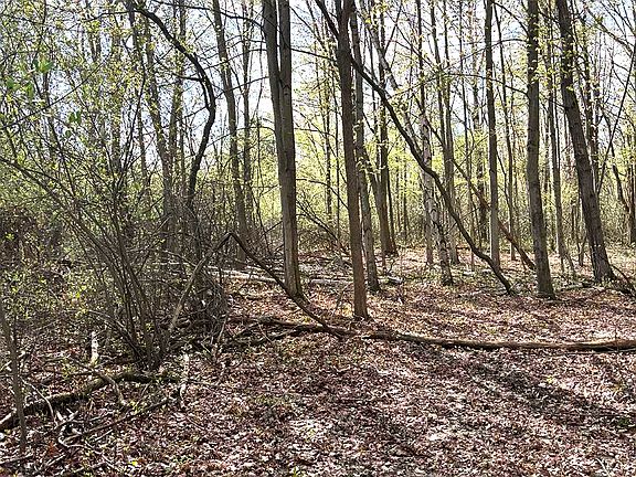 3rd image of 6000 Lange Rd