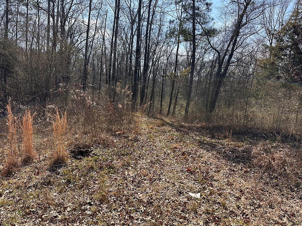 2nd image of County Road 2513