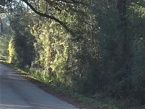 5th image of Cotton Ln