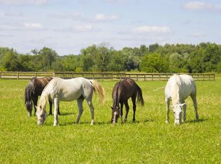 101 N Division St, Salisbury, MD 21801