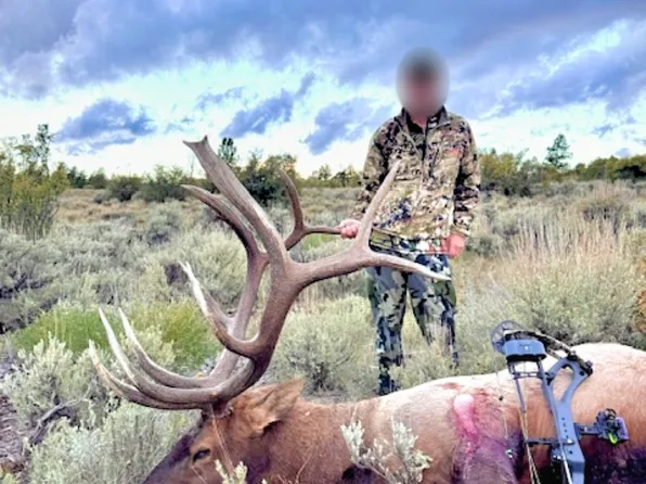 Tbd Atchee Ridge Rd, Rangely, CO 81648