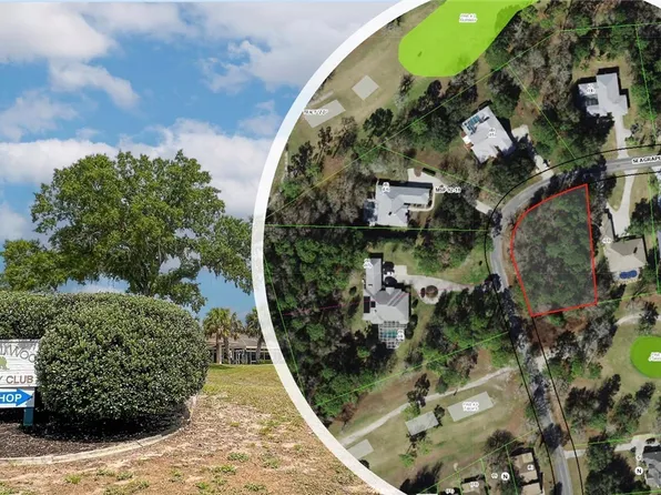 35 Seagrape St, Homosassa, FL 34446