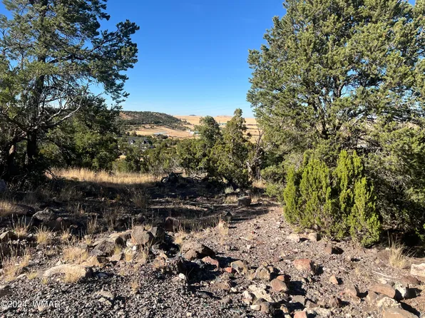 S Skyline Dr, Eagar, AZ 85925