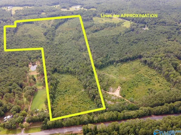 56 Acres Hwy #13, Lynn, AL 35575