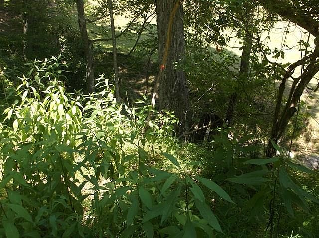 1st image of 4480 Old Bridle Creek Dr