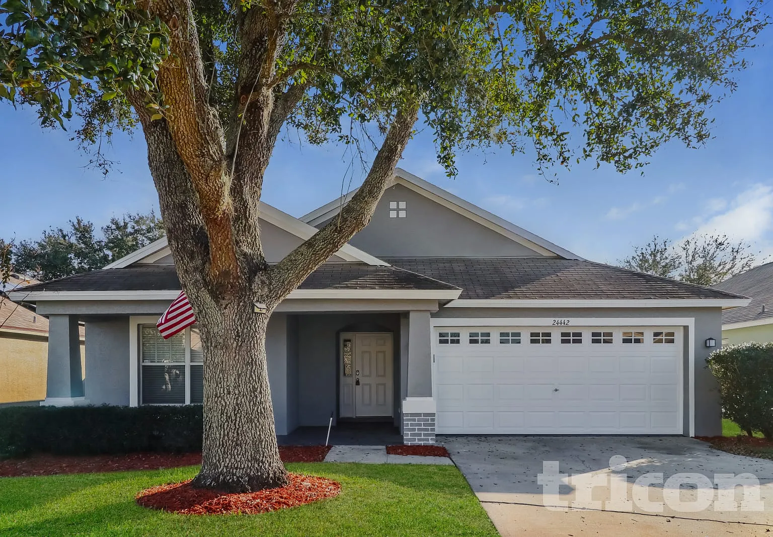 24442 Summer Nights Court Lutz FL — Photo 1
