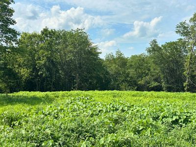 24218 Kane Ave, Glenwood, IA, 51534