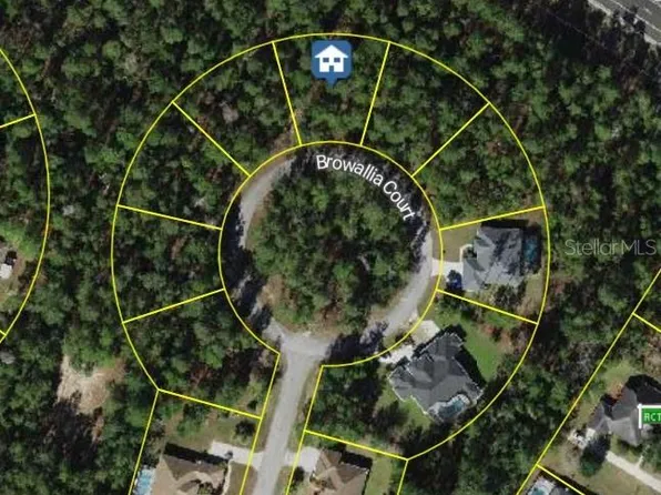 25 Browallia Ct #19, Homosassa, FL 34446