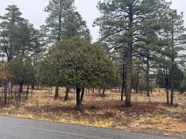 2625 Roundup Ln, Happy Jack, AZ 86024